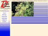 TJ-Medie Service